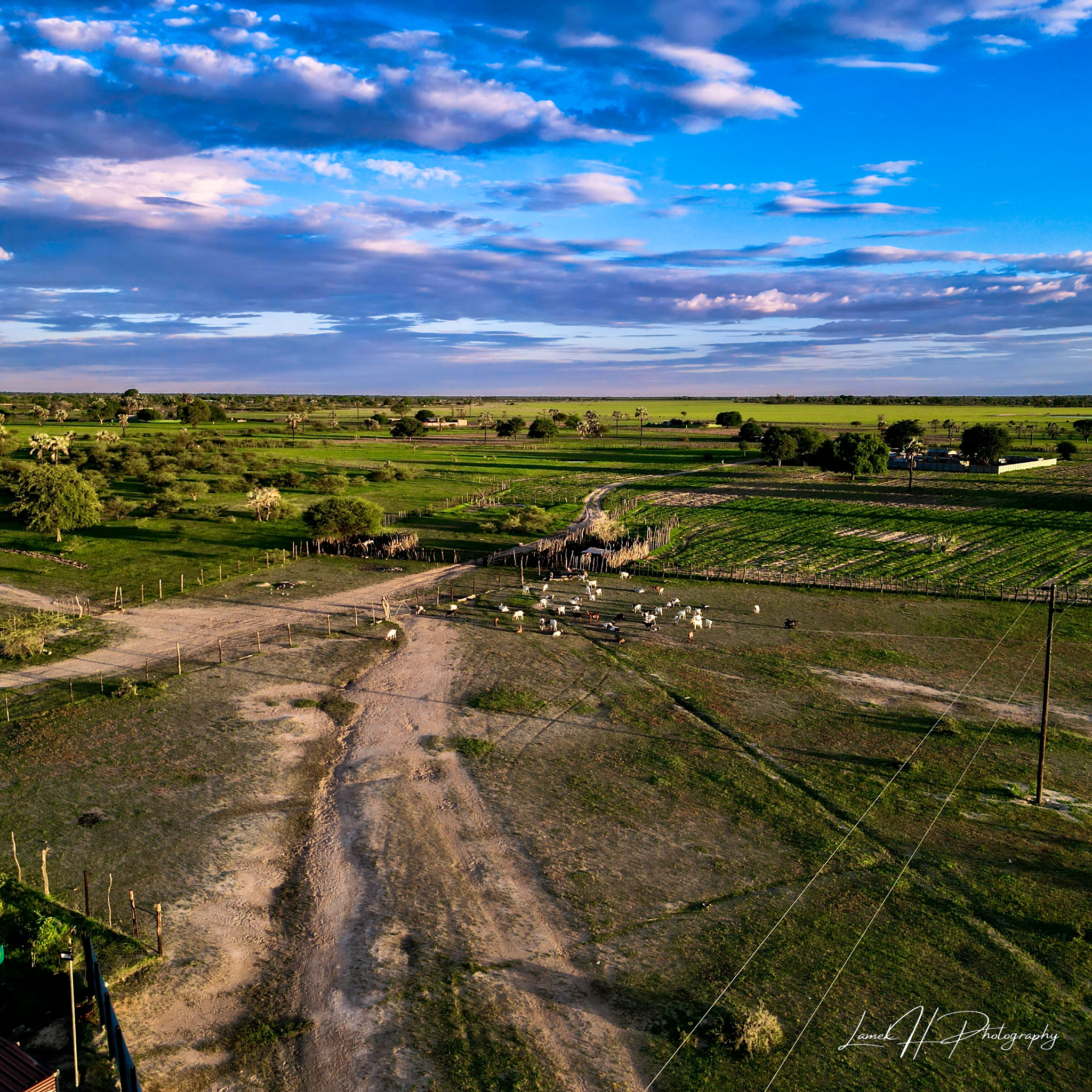 Drone photography of a wedding ceremony in Namibia - LamekH Photography